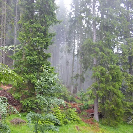 Апартаменты Deer's At Elit Пампорово