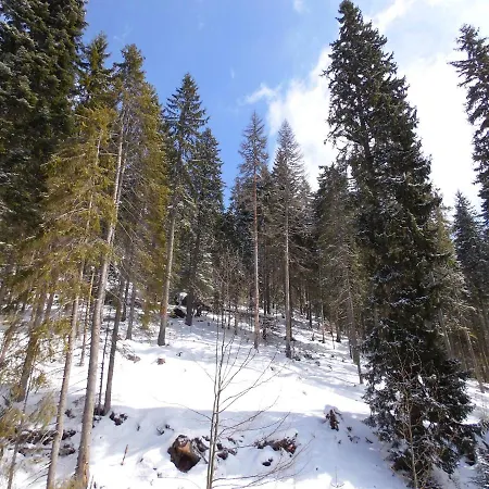 Deer's At Elit * Пампорово
